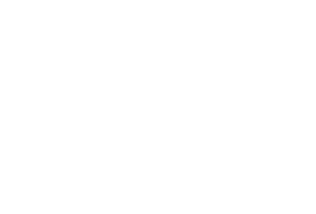Bertec Graphics